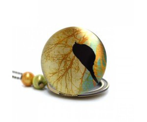 Locket vogel