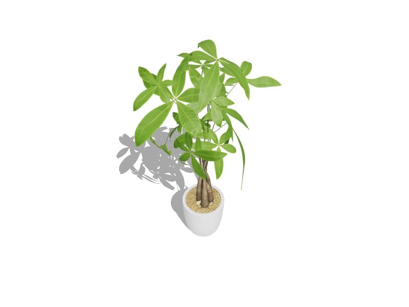 Three-dimensional representation of the product