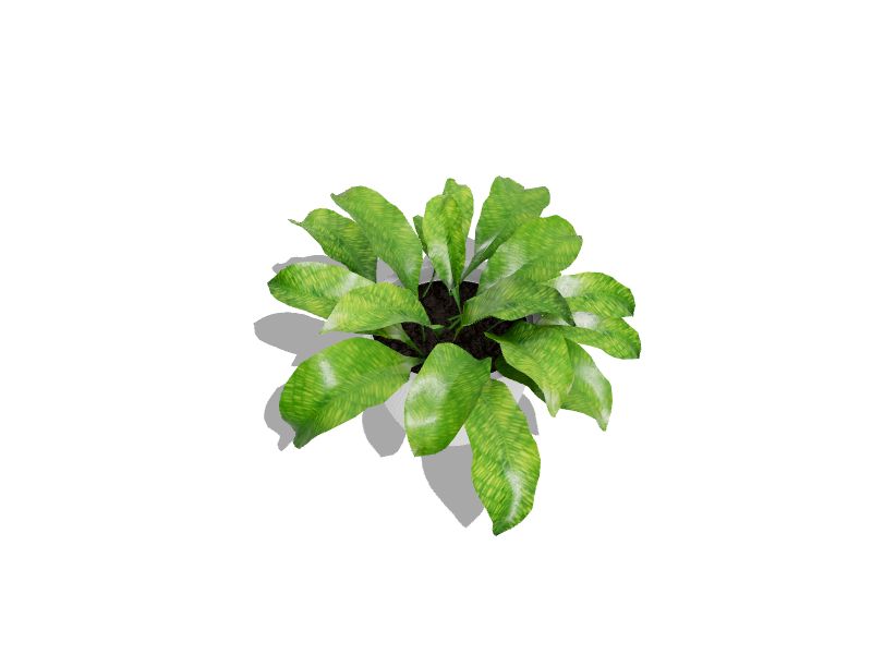 Three-dimensional representation of the product