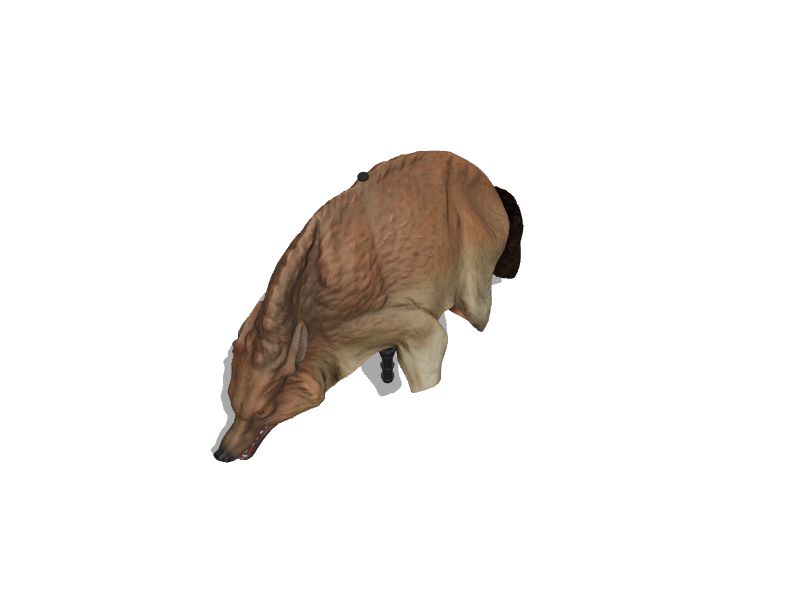Three-dimensional representation of the product