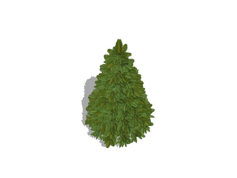 Fresh 6 - 7 ft Fresh-Cut Premium-Grade Fraser Fir Christmas Tree