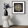 Celestial Burst