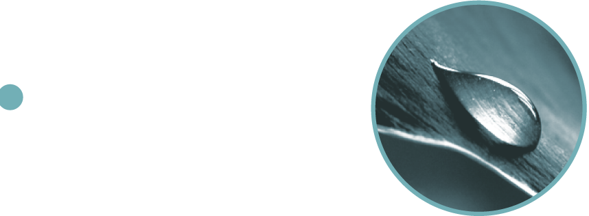.bos Ontwikkeling in Organisatie