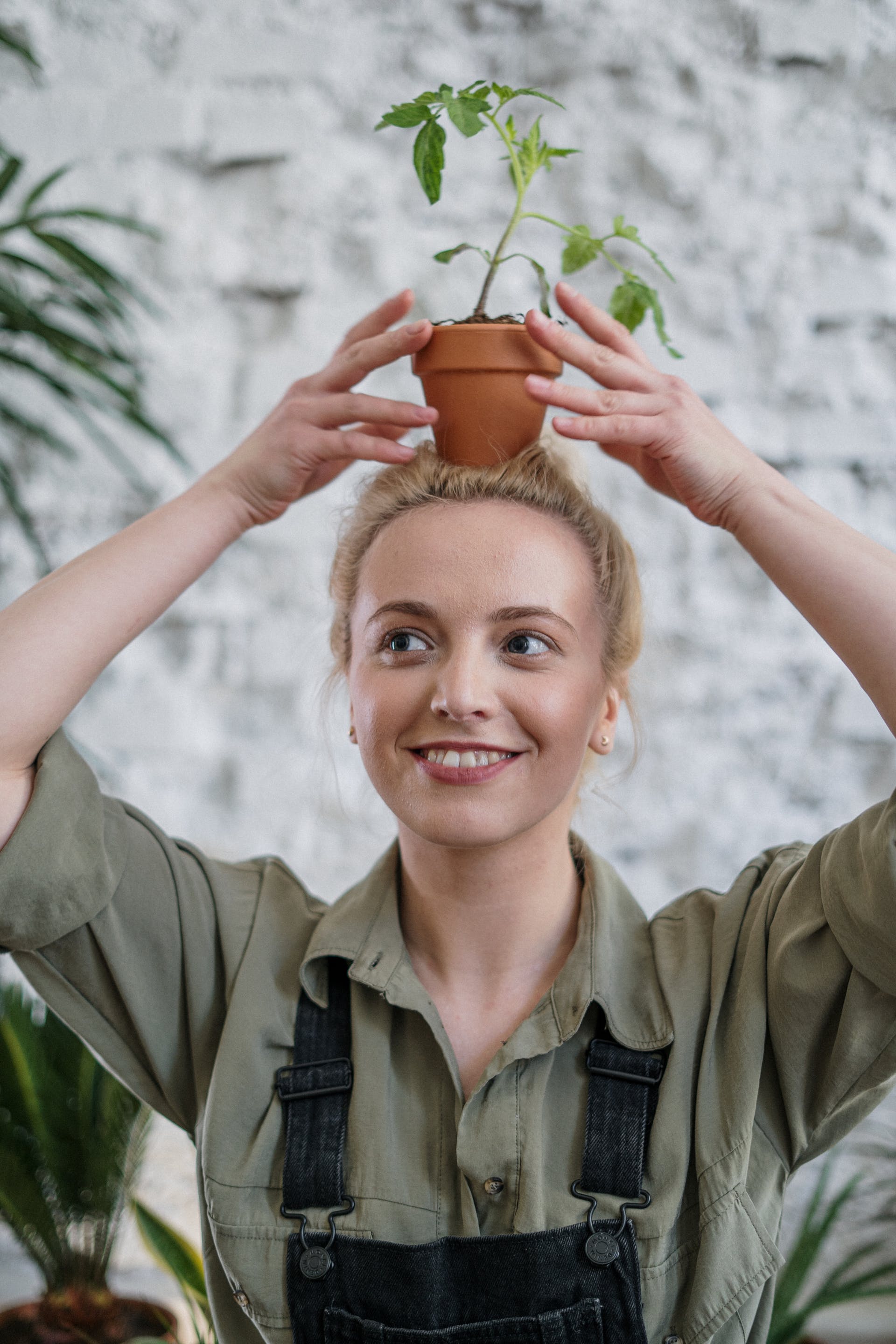 Who can benefit from a dental splint?
