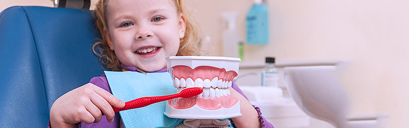 Take advantage of the CDBS while it lasts! Eligible children receive a subsidy to cover dental expenses.