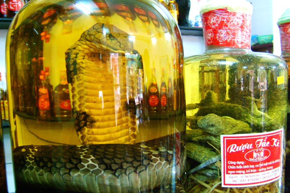 snake wine