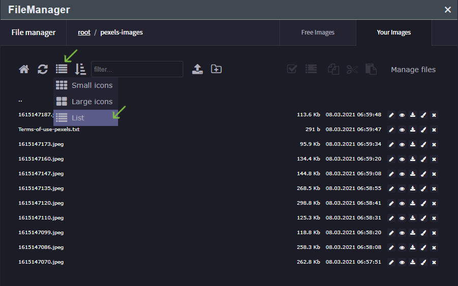 File manager list view