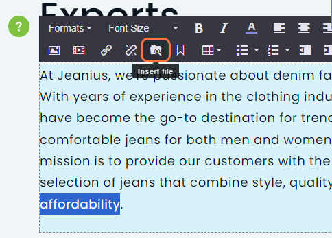 insert file icon