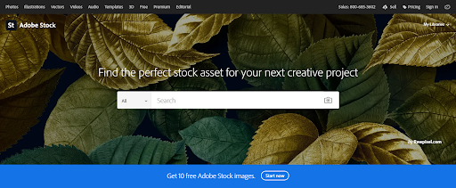 Adobe Stock