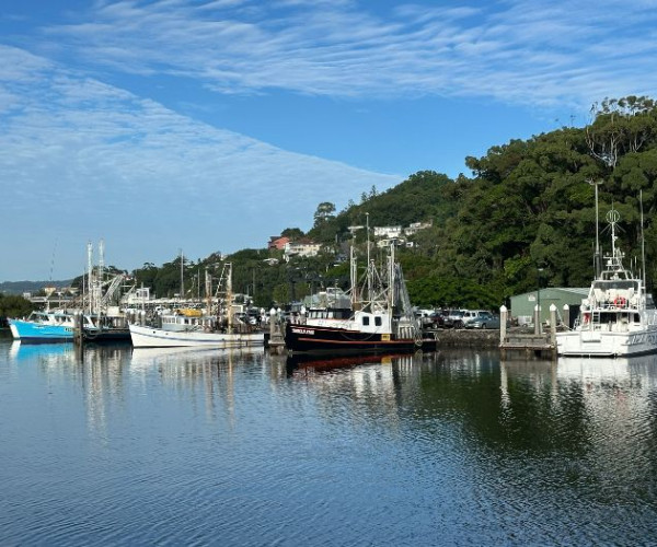 Living (and ageing) well in Tweed Heads: A local guide for over 50s.