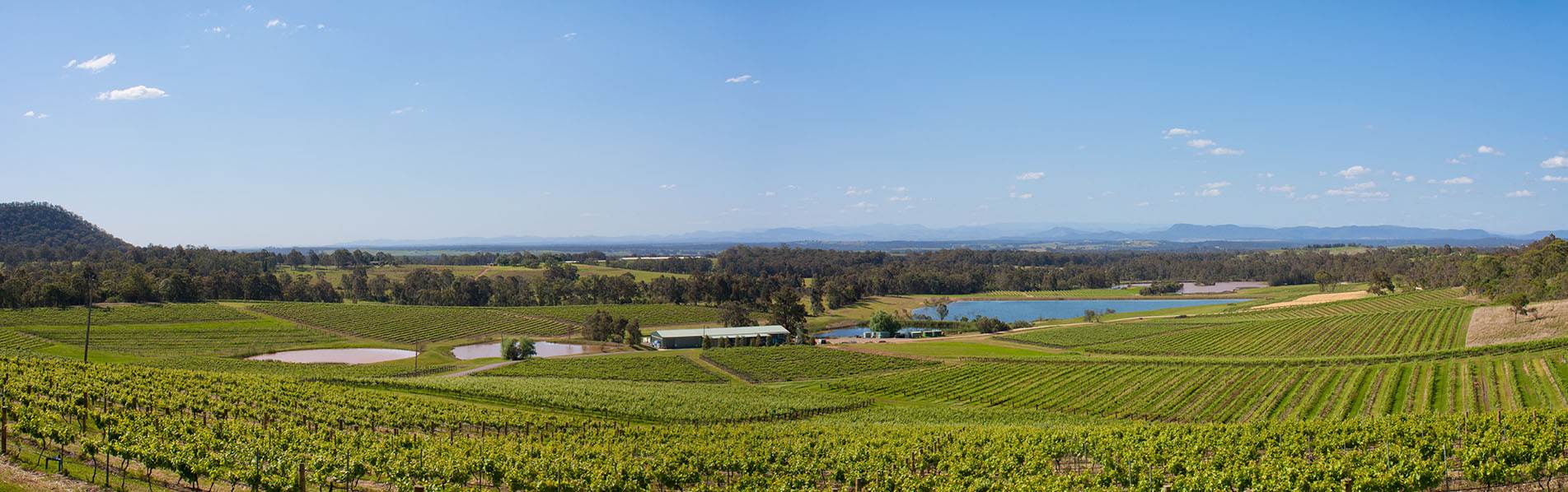 hunter valley tour operators