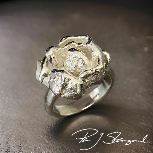  Ring - essencen av livets ursprumg, II