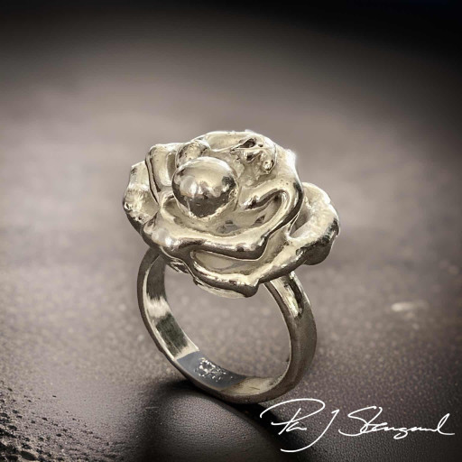 Ring - essencen av livets ursprumg, I