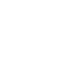 Government icon