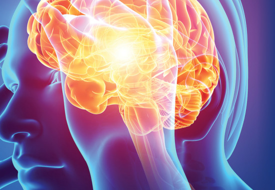 World-leading research in the spotlight.