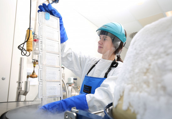 Kolling Institute Year in Review 2022 .