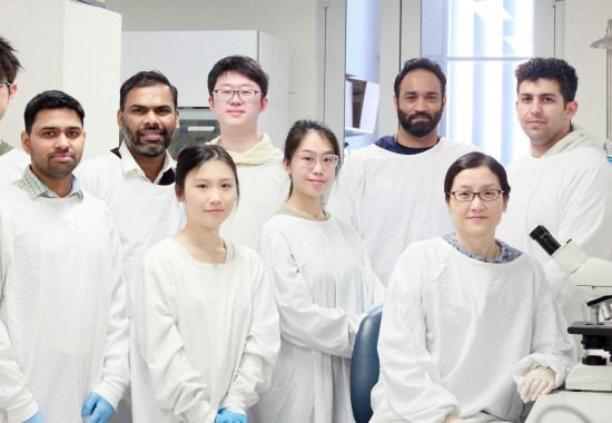 Kolling researchers make promising breakthrough with leukaemia study.