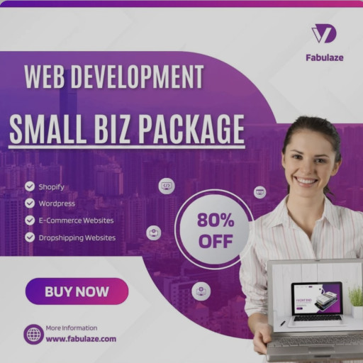 Website Design (5 Page Small Biz) ~ Fabulaze Media 