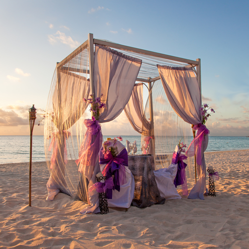 Outdoor Ceremony