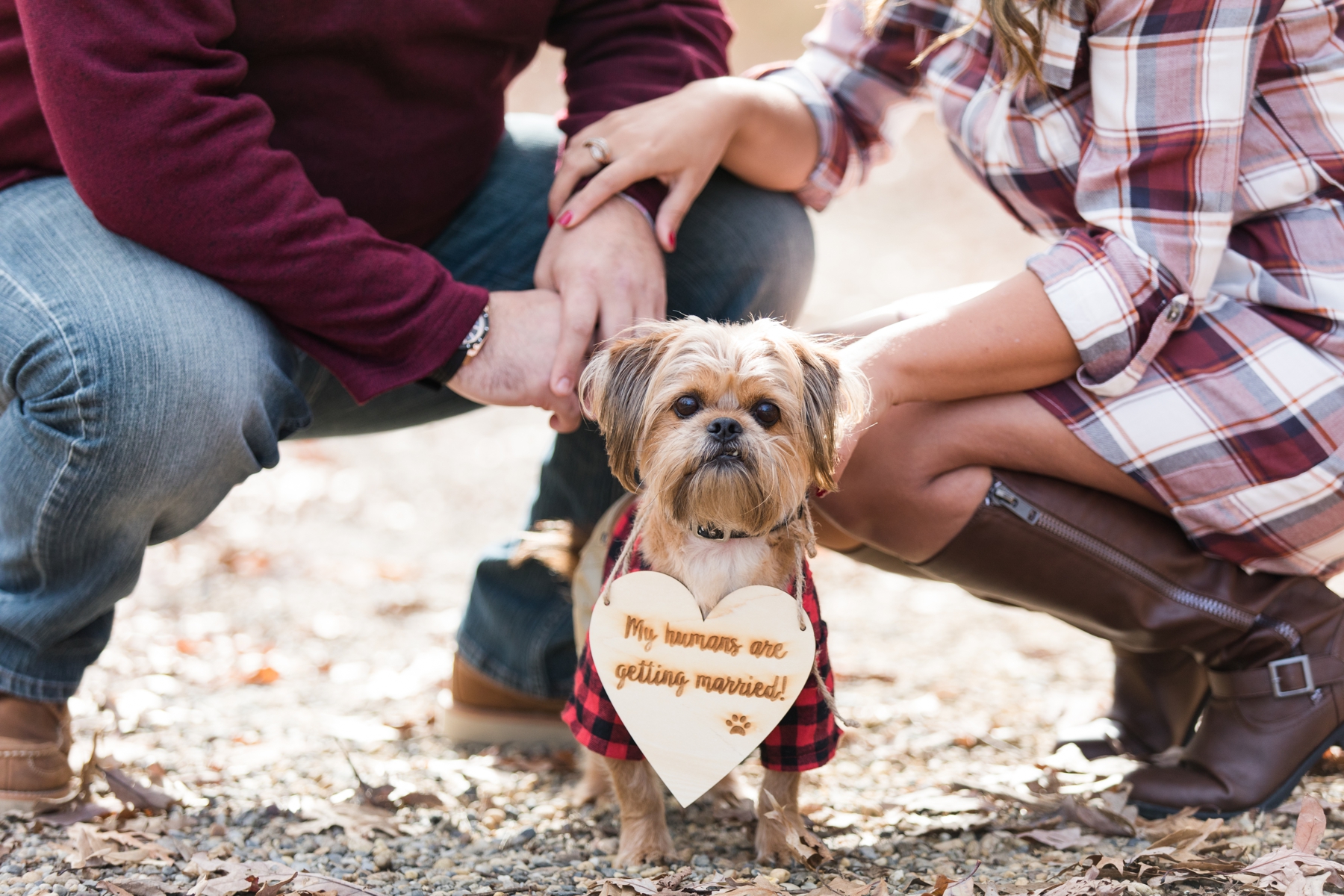 Puppy Engagement Photos at Allaire Park