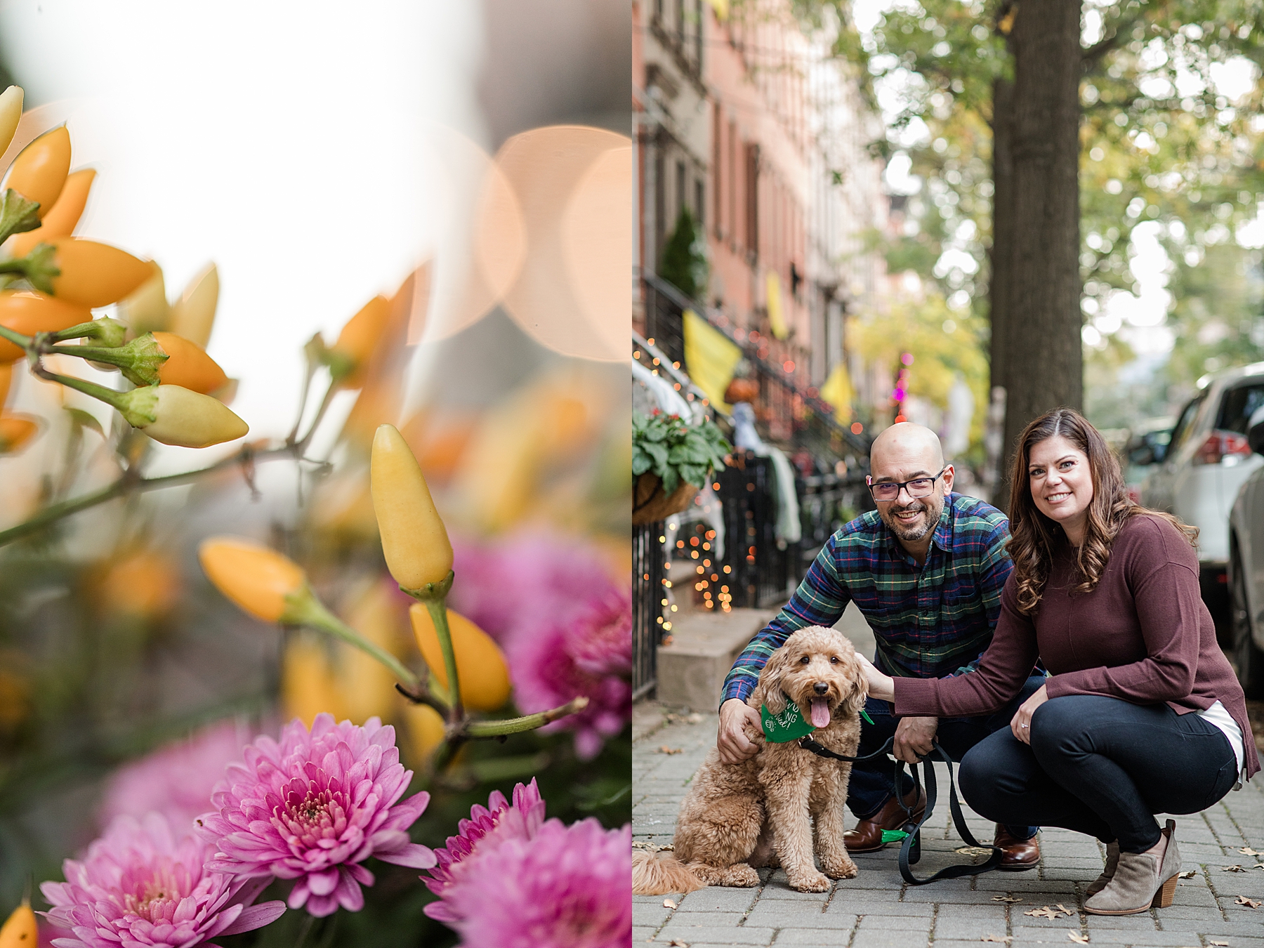 Engagement Photos NJ