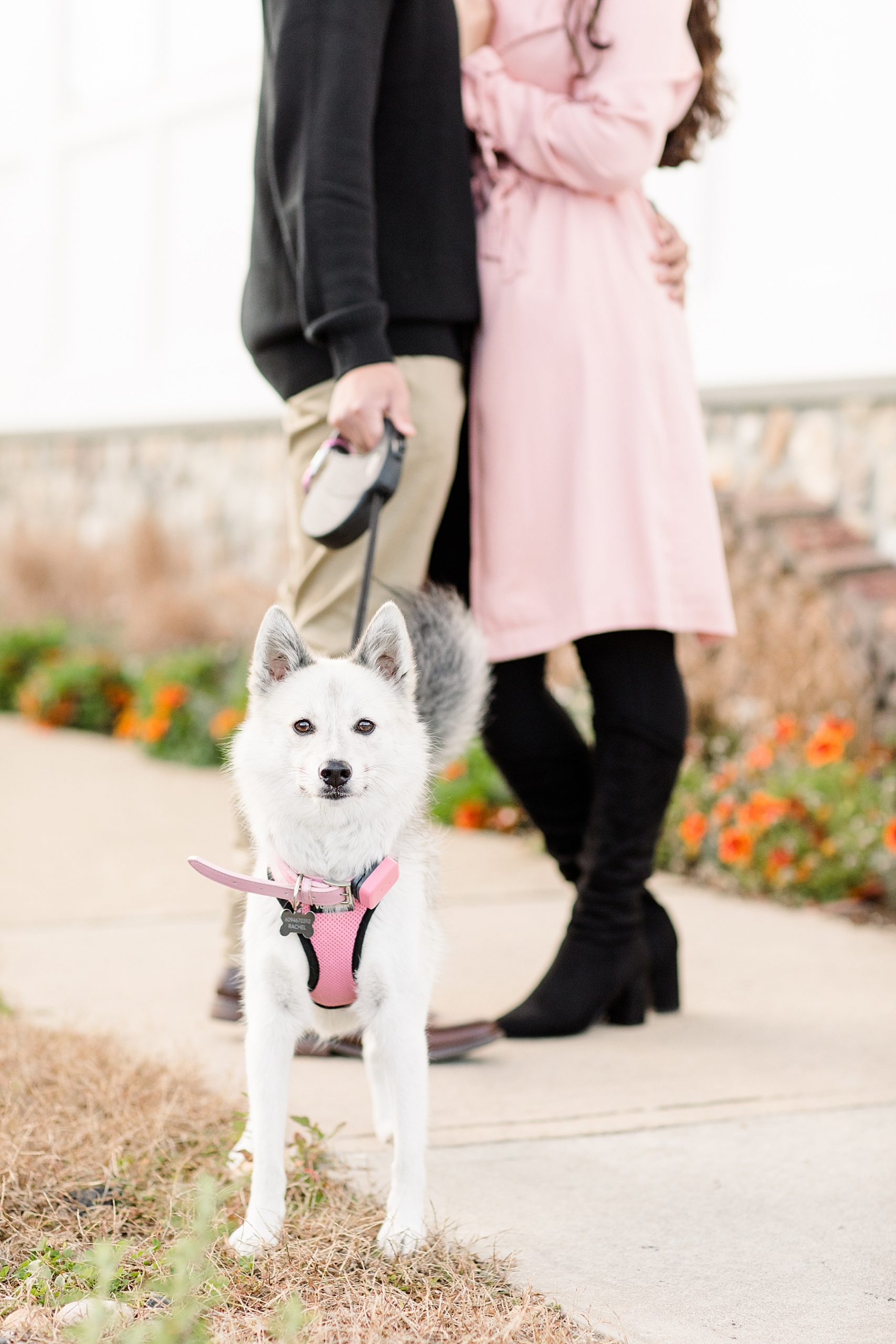 Bradley Beach Engagement