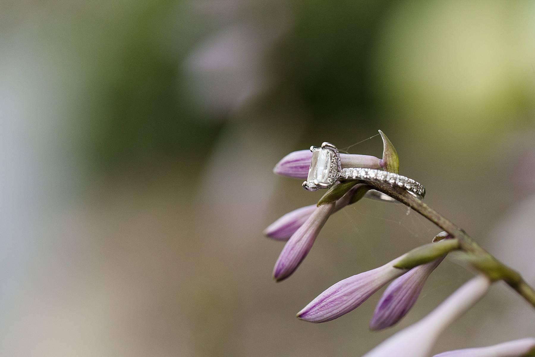 Spring Lake Sea Girt Engagement Ring Photography