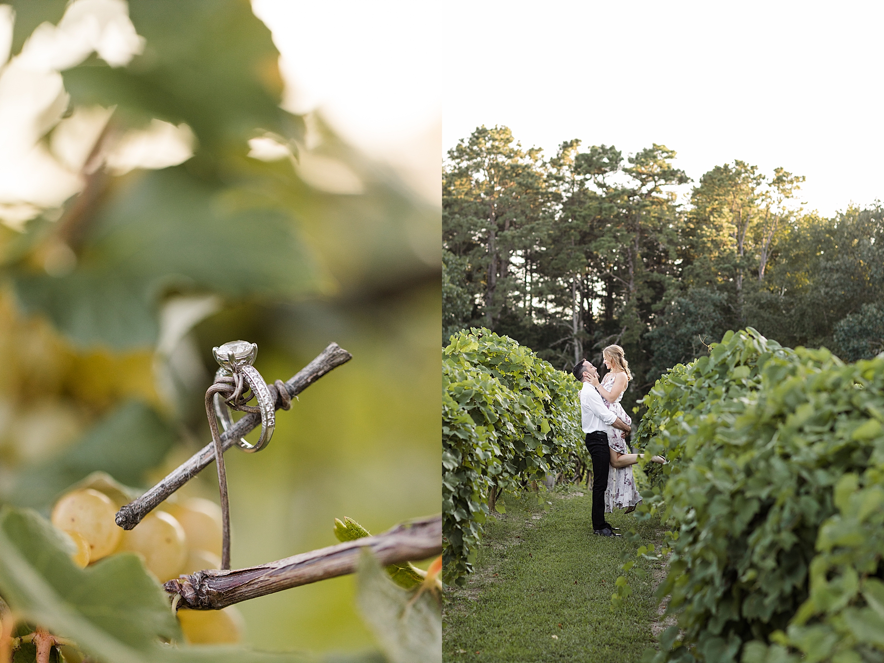 Engagement Ring Photography Renault Winery