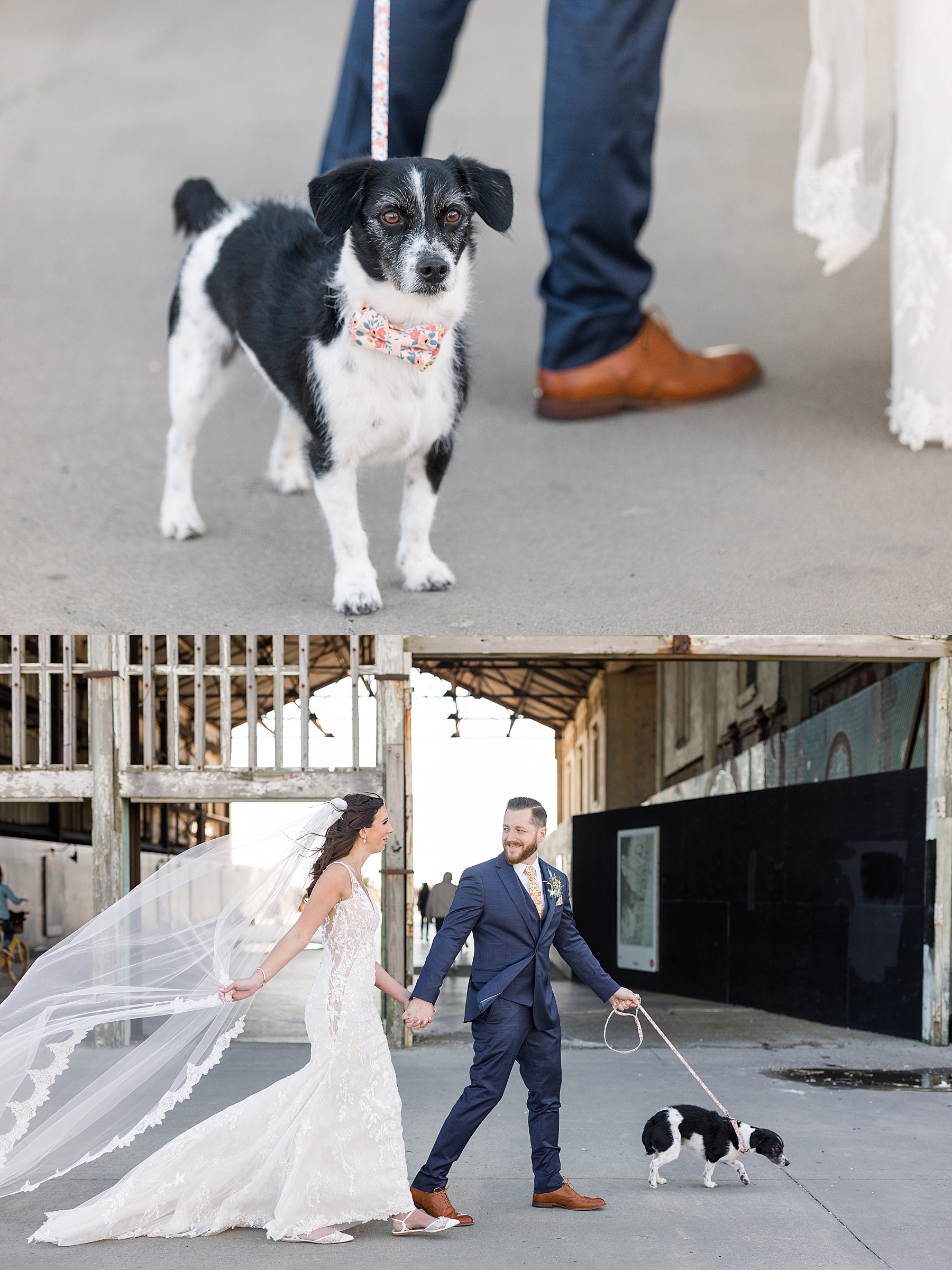 Berkeley Oceanfront Wedding Photos