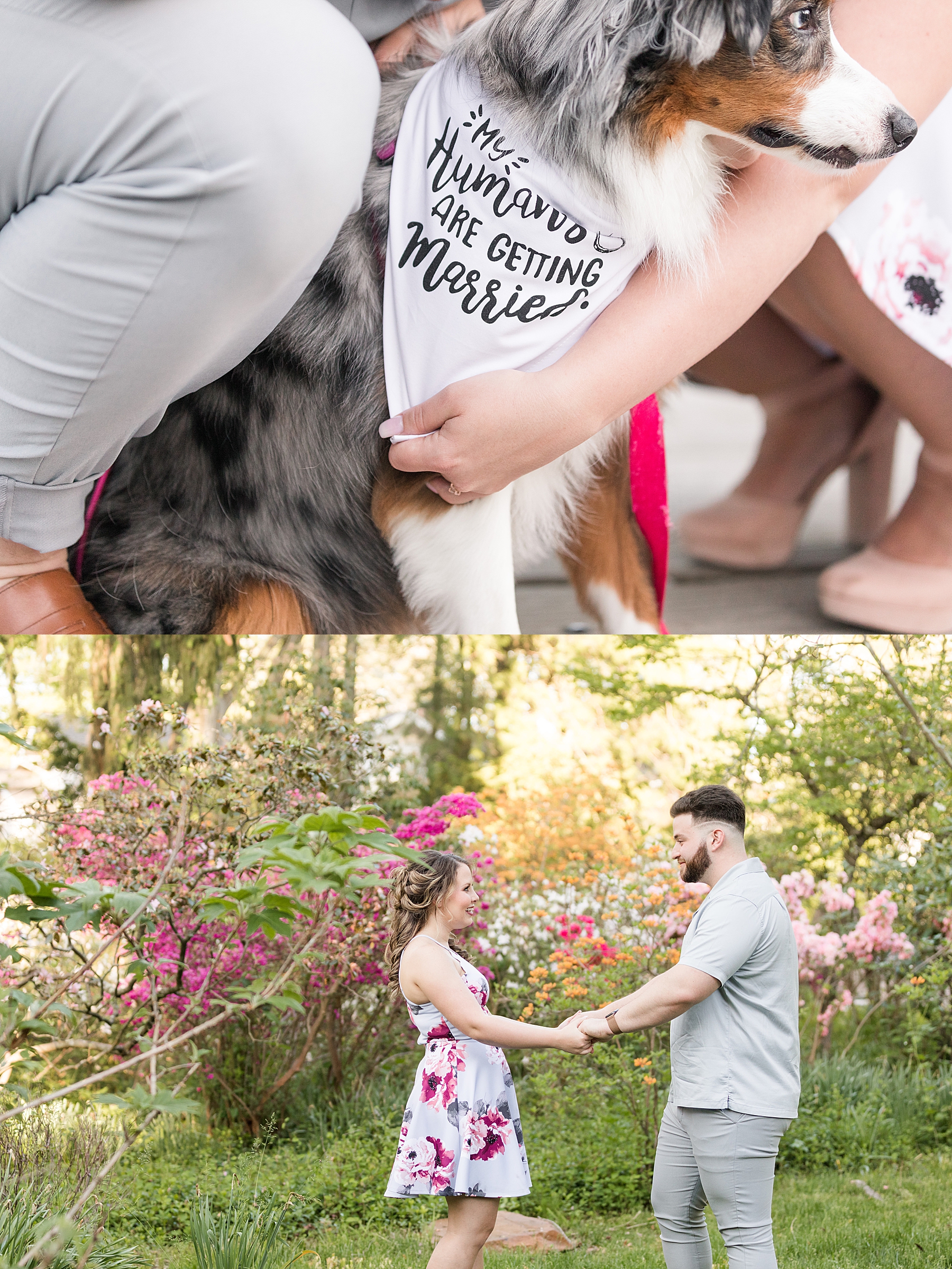 Sayen Gardens Engagement Session