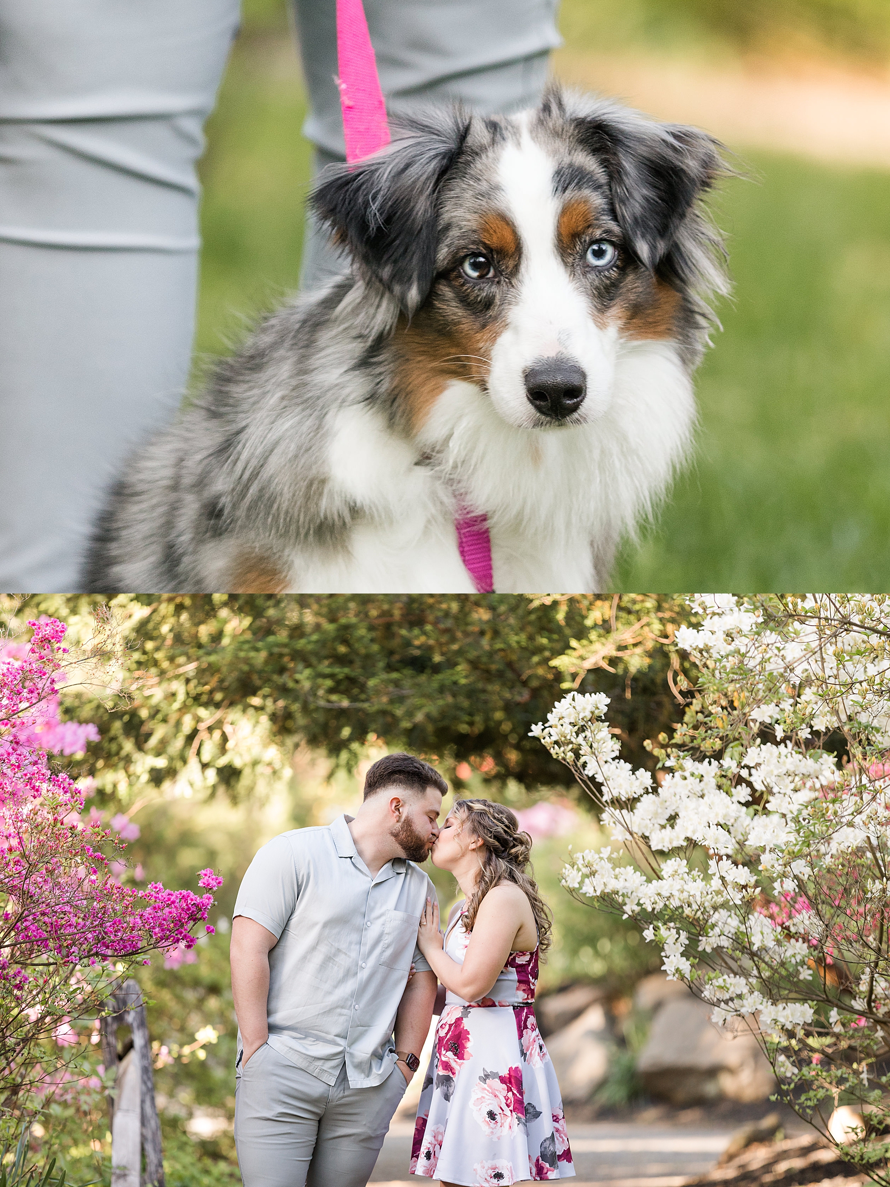 Sayen Gardens Engagement Session