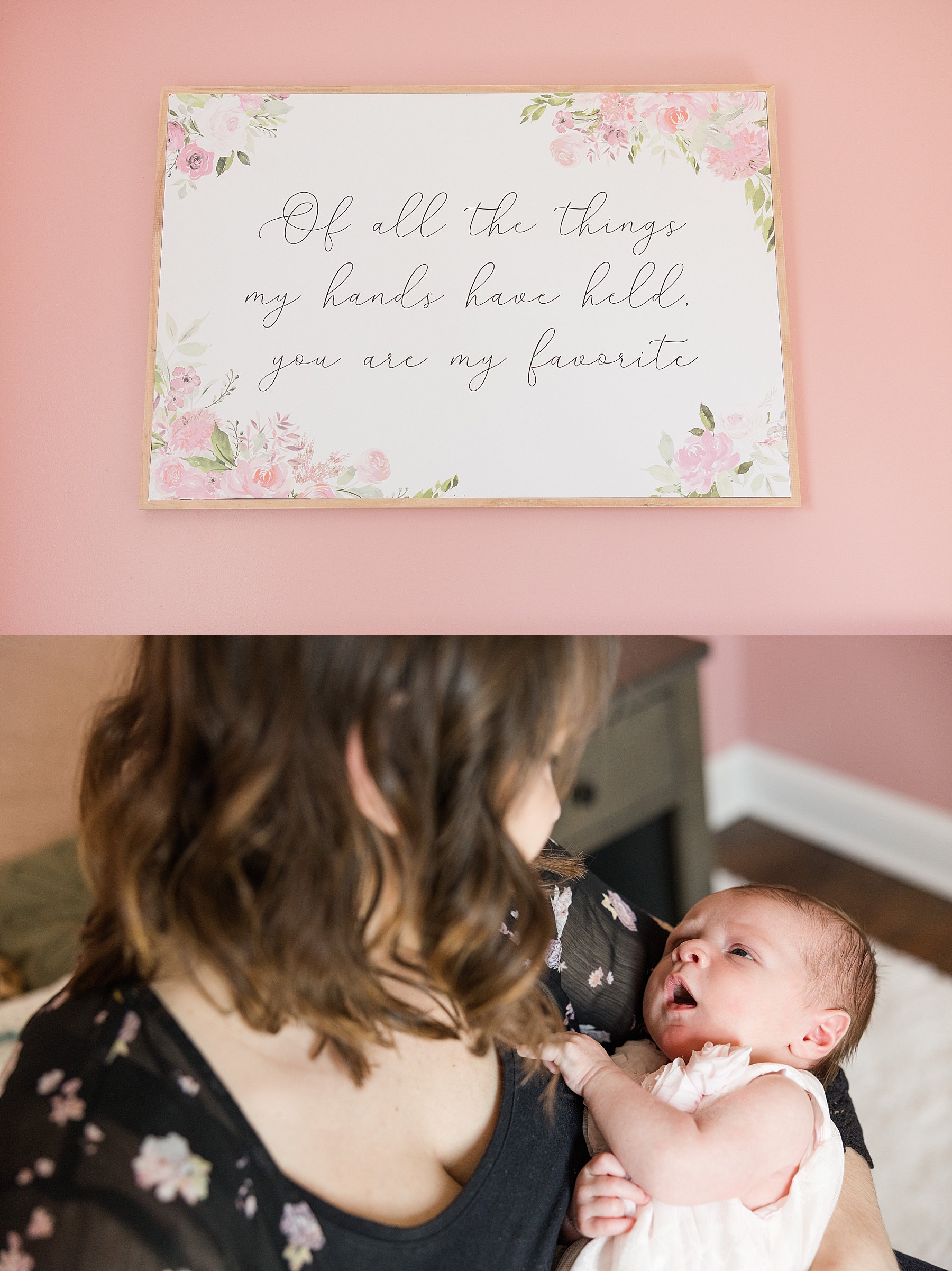 Newborn Session