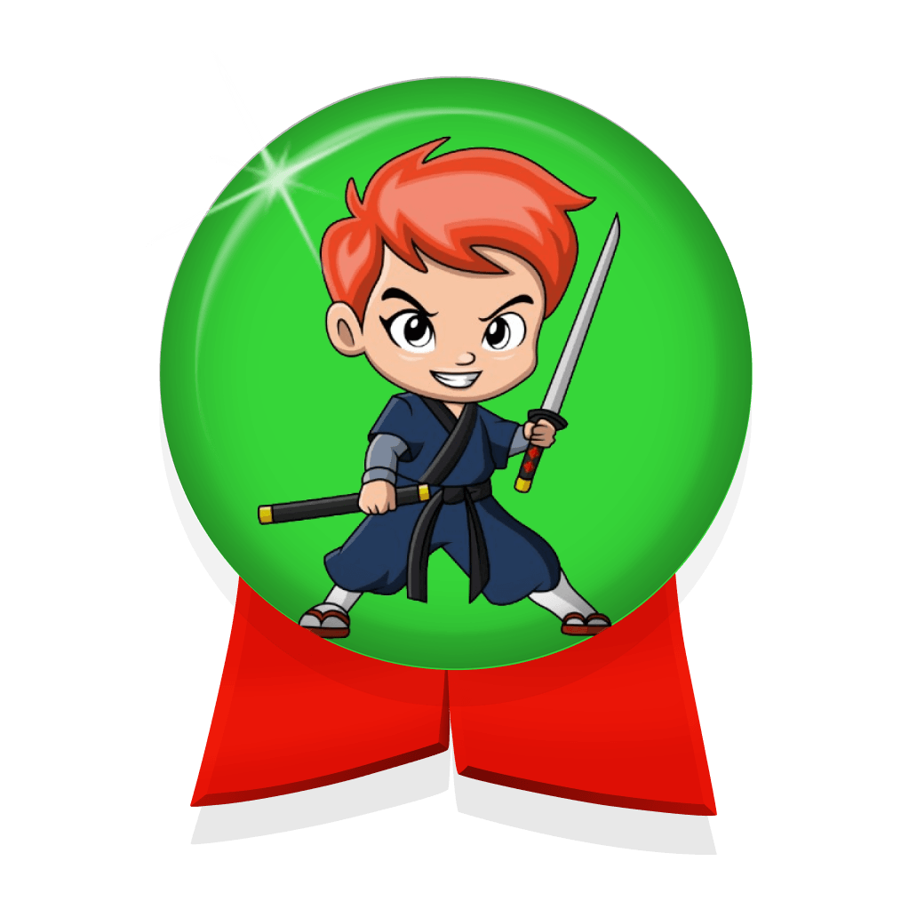 Network Ninja