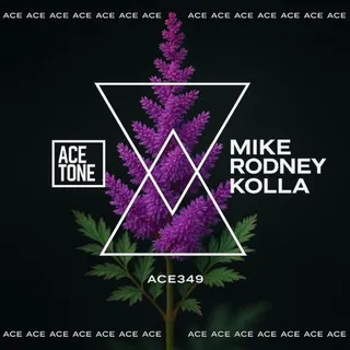 Mike Rodney
