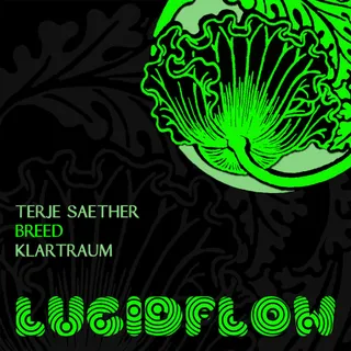 Terje Saether