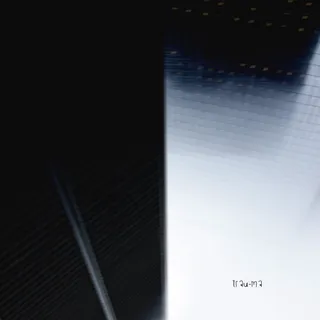 Black Mirror Park
