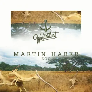 Martin Haber