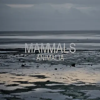 Mammals