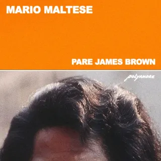 Mario Maltese