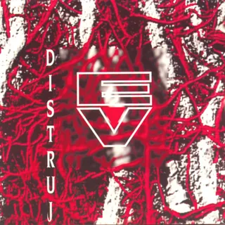 EV