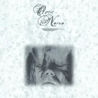 Optic Nerve