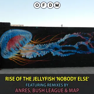 Rise Of The Jellyfish