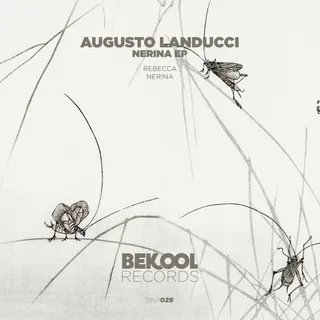 Augusto Landucci