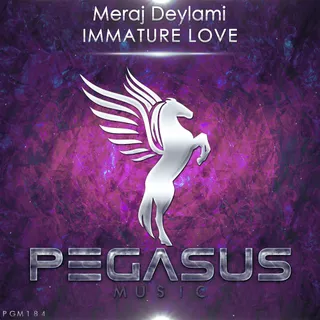 Meraj Deylami