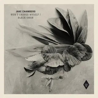 Jake Chambers