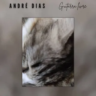 Andre Dias