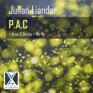 Julian Liander