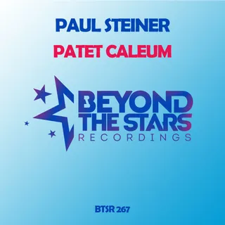 Paul Steiner