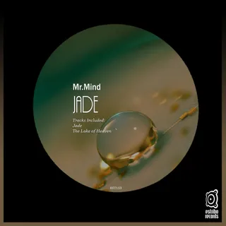 Mr.Mind