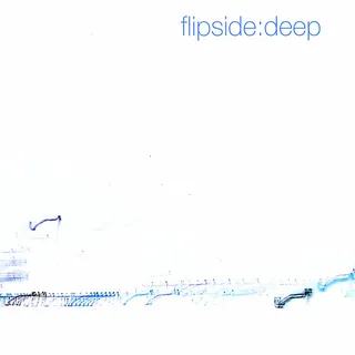 Flipside